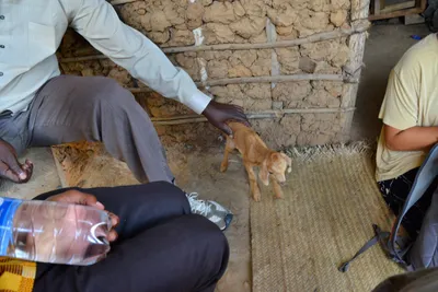 DSC_5351 (Large).JPG